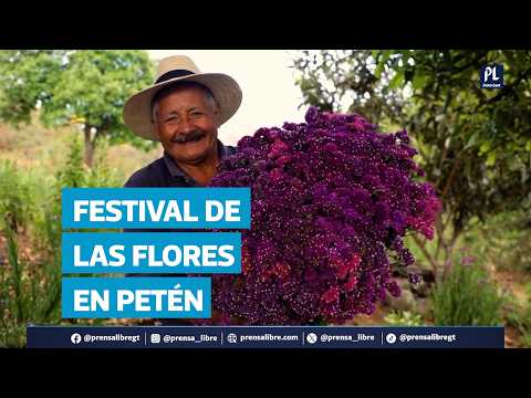 Festival de las Flores llegará por primera vez a Petén y celebrará 10 ediciones en Antigua Guatemala