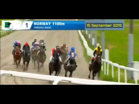 2015 Norway Races _ Race 1 WHATEVER RACE ( Real Race Name )