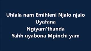 Sun EL Musician   Akanamali Feat  Samthing Soweto Lyrics  Lyrics Video
