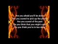Pauley Perrette - fear lyrics 
