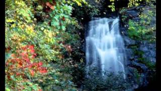 ATARAXSIA 05 IL VIOLINO INCANTATO