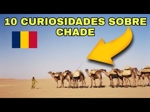 CHADE | 10 CURIOSIDADES QUE PRECISA CONHECER #30