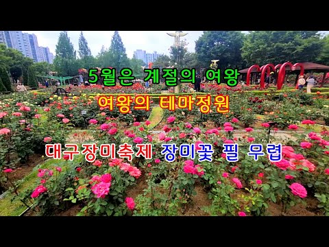 대구 장미축제 판타지 장미여왕의 초대라는 테마로 꾸며진 이곡장미꽃 여행코스