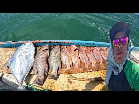Spearfishing in shallow water - clear water is sure to bring fish (Diego, amateur fisherman)