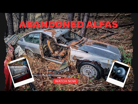 These Cars Have Been Left to Rot for Decades… You Won’t Believe What We Found  | IMSTOKZE
