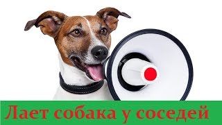 Лает собака у соседей - бесплатная консультация юриста онлайн