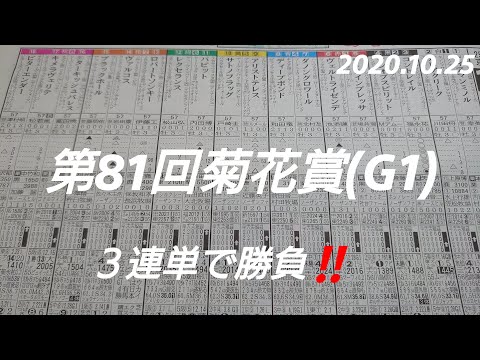 第81回菊花賞(G1)11R芝3000 京都 2020.10.25 予想