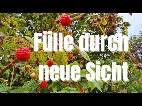 Wie eine Änderung deiner Sichtweise dein Leben bereichert - Spiritualität im Alltag