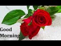 Kishore Kumar Magical Voice Koi Shama Shishe Ki Laya With Good Morning Video Subscribe For More