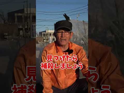  2月に室内に何を蒔く？欠かせない5つの作物  庭園