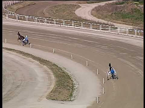 Trotto 20/02/2019 - prova di qualifica