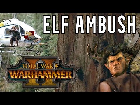 NEVER TRUST AN ELF! | Empire vs Wood Elves - Total War Warhammer 2