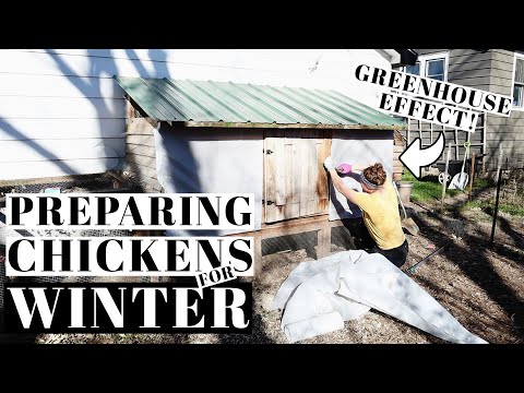 , title : 'BACKYARD CHICKEN WINTER PREP | Keeping Poultry in the HARSH Wisconsin Weather | Coop Warming Tricks'