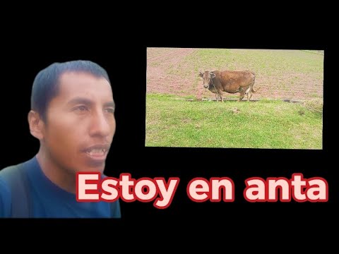 Estoy en provincia anta cusco - veamos la aventura 