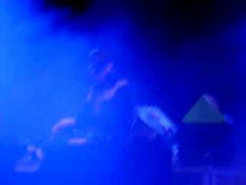 sputnik spring break 2008