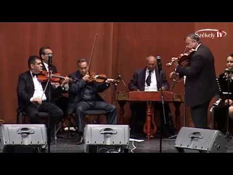 if. Joni Geza- Notacsokor