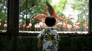 🇹🇭Trip to Bangkok 2025　 “Itoちゃん初めてのタイランド"