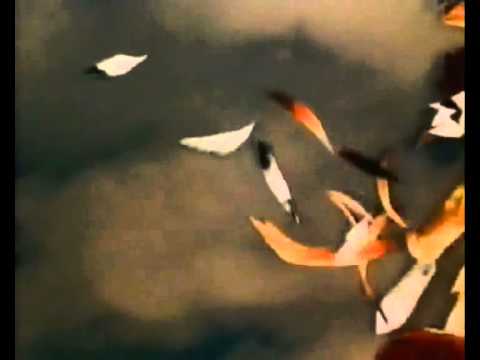 Die geschichte vom kalif storch #07