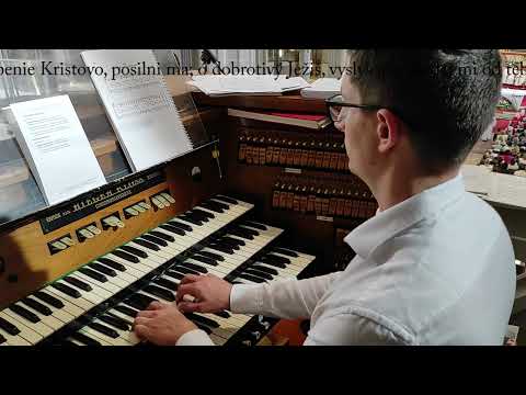 JKS 303 - Duša Kristova (Dóm sv. Alžbety)