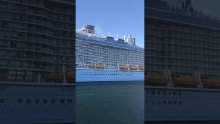 Royal Caribbean’s Ovation of the seas departing Fremantle #shorts #royalcaribbean