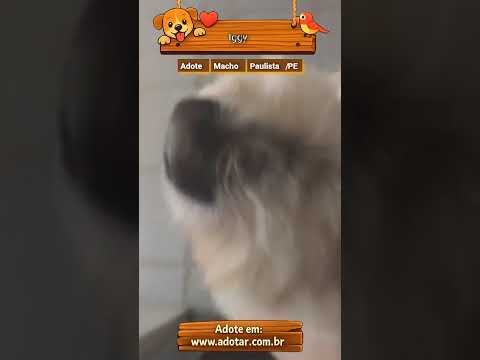 Vídeo de Iggy