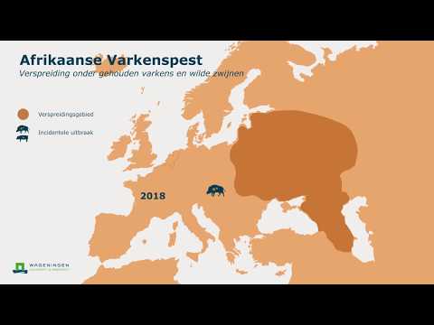 , title : 'Verspreiding Afrikaanse varkenspest in Europa (korte animatie)'
