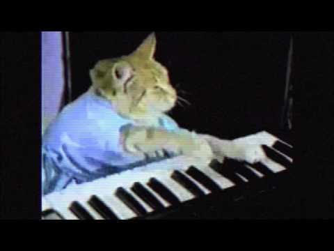 Max Min - Taking my mind (feat. the Keyboard Cat)