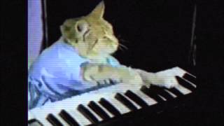 Max Min - Taking my mind (feat. the Keyboard Cat)
