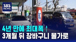 4년 만에 최대폭↑..3개월 뒤 장바구니 물가로 / SBS