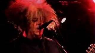 The Melvins - &quot;Civilized Worm&quot;