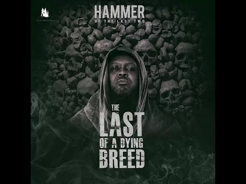HAMMER - EFFORTLESS FT. TEEPHLOW, MEDIKAL, PURE AKAN & WORLASI (AUDIO SLIDE)