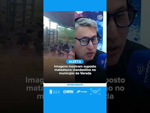 DENÚNCIA REVELA SUPOSTO MATADOURO CLANDESTINO EM VEREDA - BA #shorts
