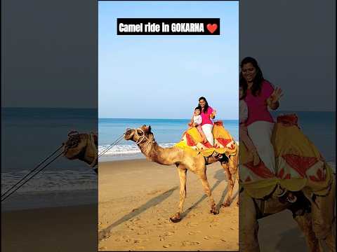 Camel ride in Gokarna only 150rs#shorts #gokarnabeach