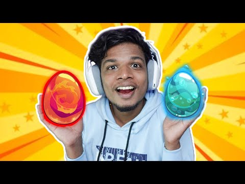 I GOT SPECIAL EGGS !!! MALAYALAM | PGM