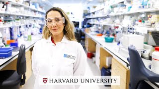 Harvard's Pardis Sabeti on stopping pandemics before they start