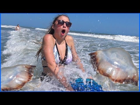 America's Most FEROCIOUS Animals!!