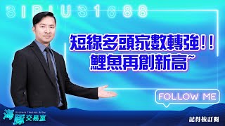 短線多頭家數轉強!!鯉魚再創新高~【直播回看】 (圖)