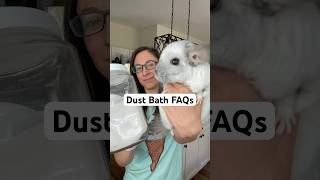What else do you want to know? 😶‍🌫️ #chinchilla #pets #dust #shorts