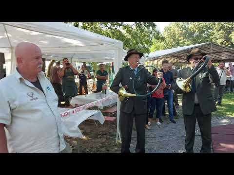 Dani Slavonske šume 2021