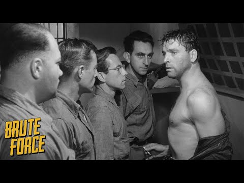 Brute Force