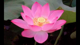 welcome home by Roy Drusky