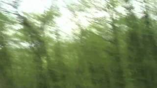 Alex Winston-Locomotive with trees lala