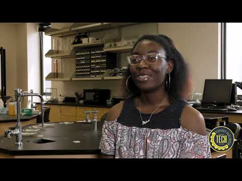 Stefanie Stewart: Student Success Story