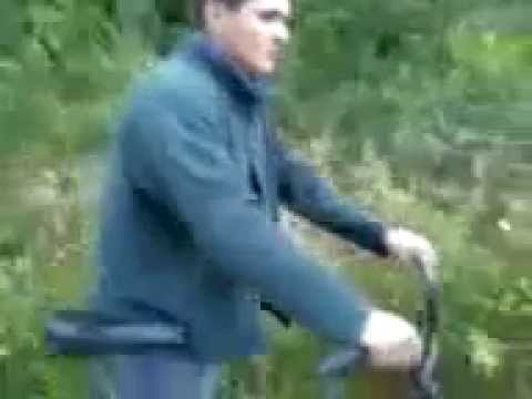 Анекдот про ворону