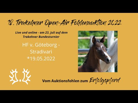 Kat.-Nr.6 HF v. Göteborg - Stradivari