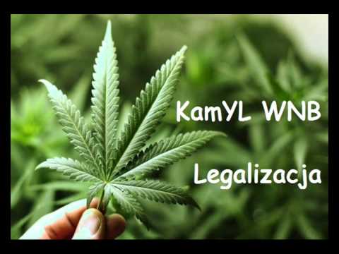 Kamyl WNB - Legalizacja