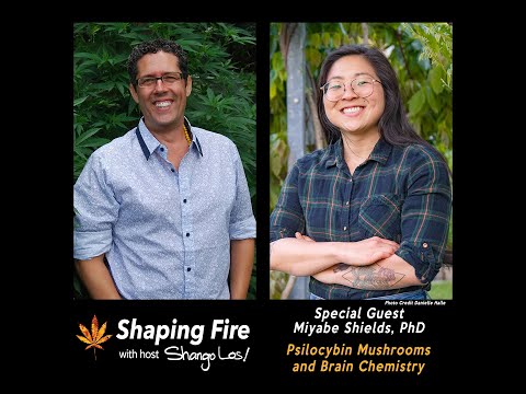 Shaping Fire Ep 85 - Psilocybin Mushrooms and Brain Chemistry with guest Miyabe Shields PhD