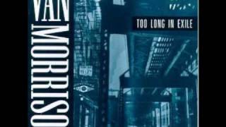 Van Morrison - Wasted Years