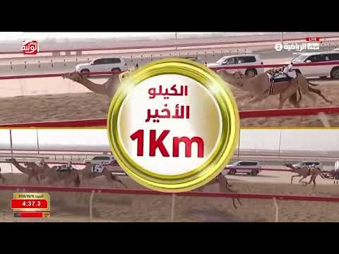 ش 22 (غازي) لـ شامس برقش بن طبازه الدوده العامري 6:06:92 ، شارة الديوان 2026/9/12 لقايا الوثبة