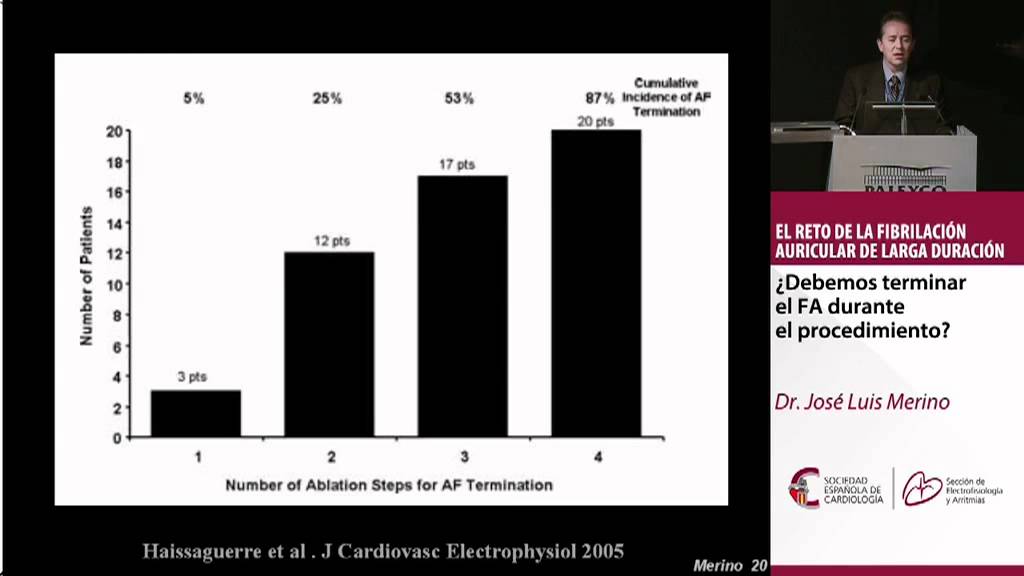 José Luis Merino Llorens-6
